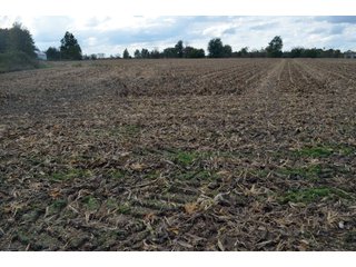 Property photo 102 - EHLE FARMS AUCTION - 118+/- ACRES IN 9 TRACTS IN ALLEN COUNTY, INDIANA
